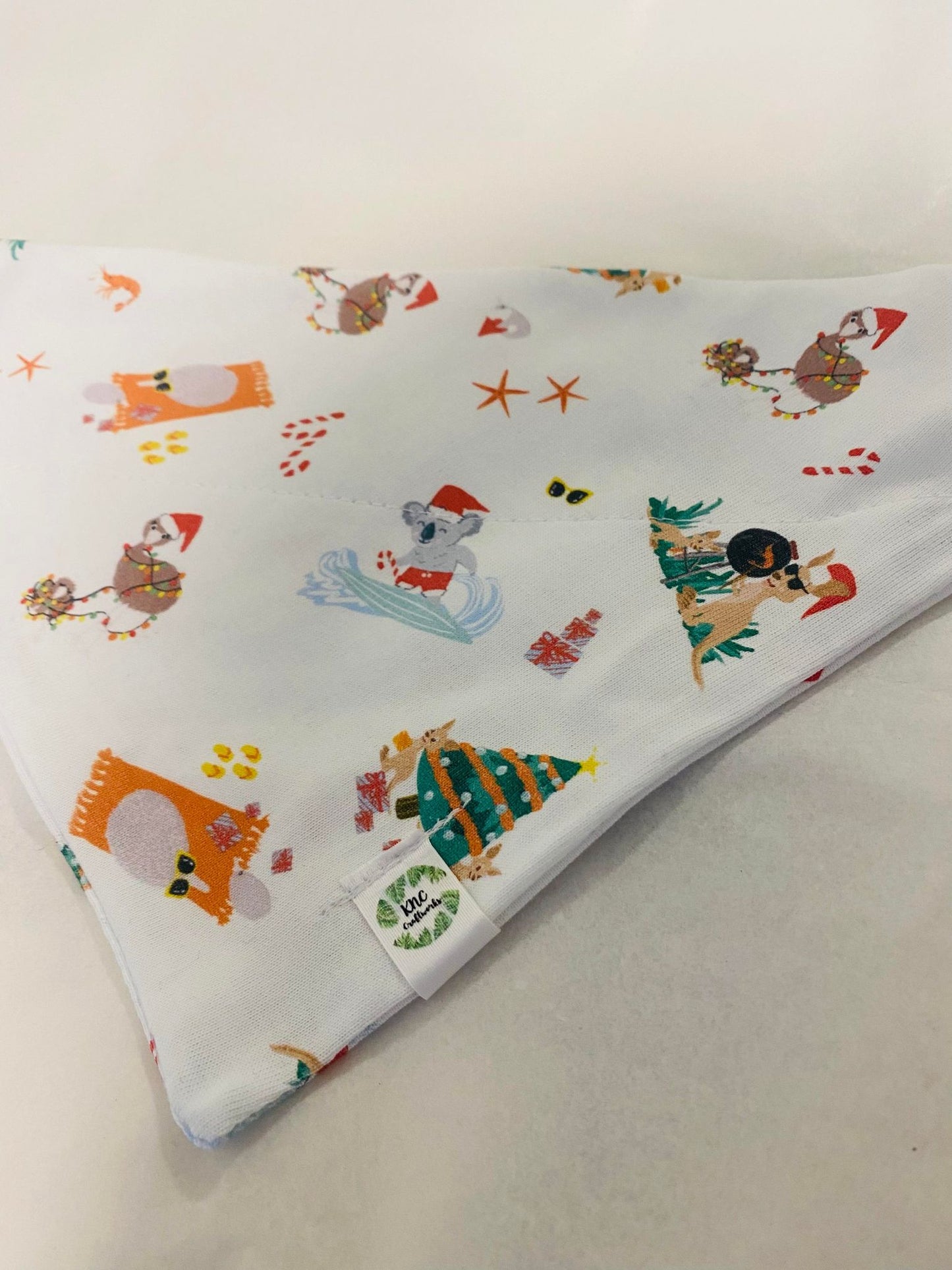 Aussie Christmas Summer BBQ - Pet Dannas